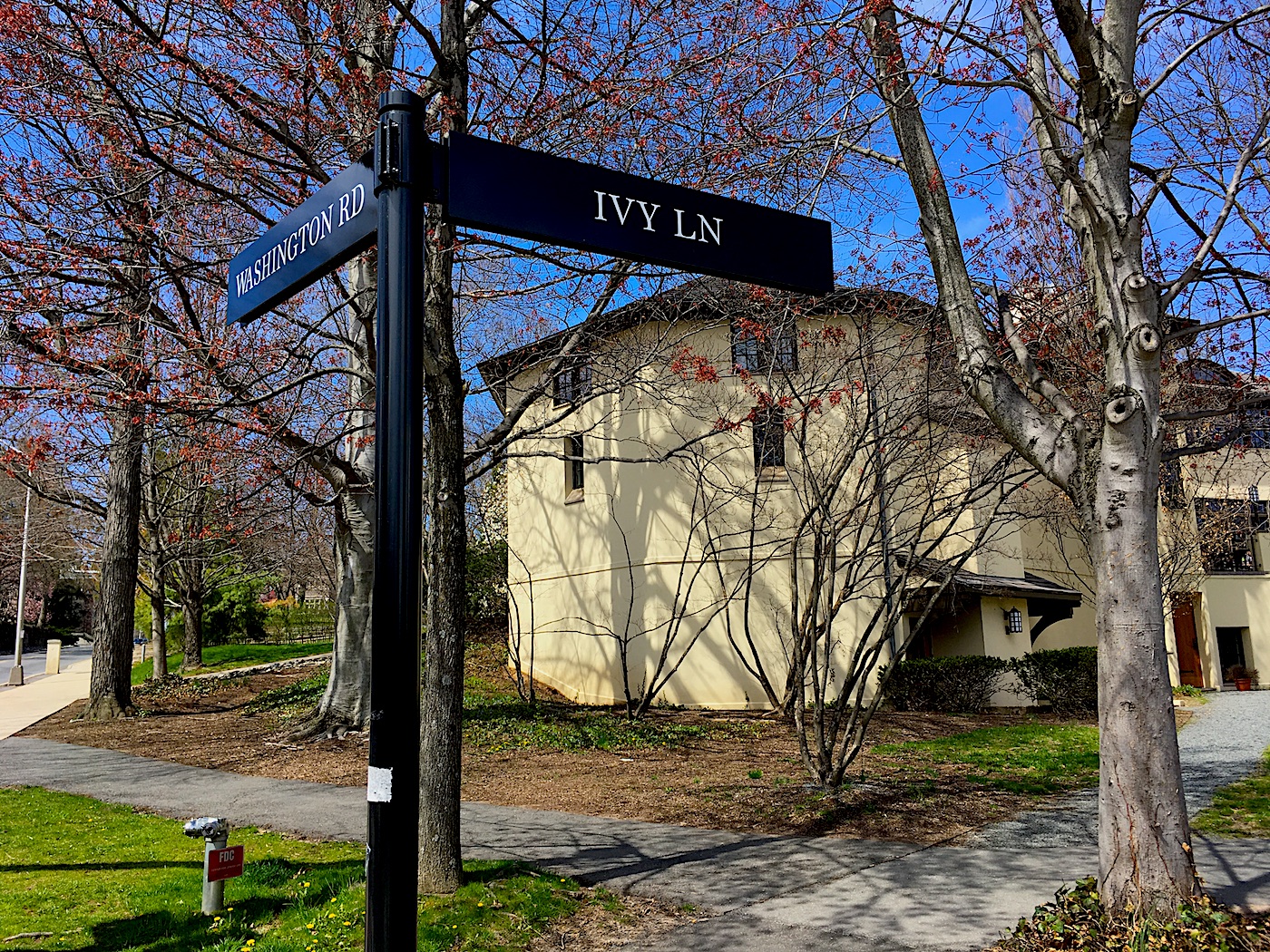 Princeton-Ivy-Lane.jpg