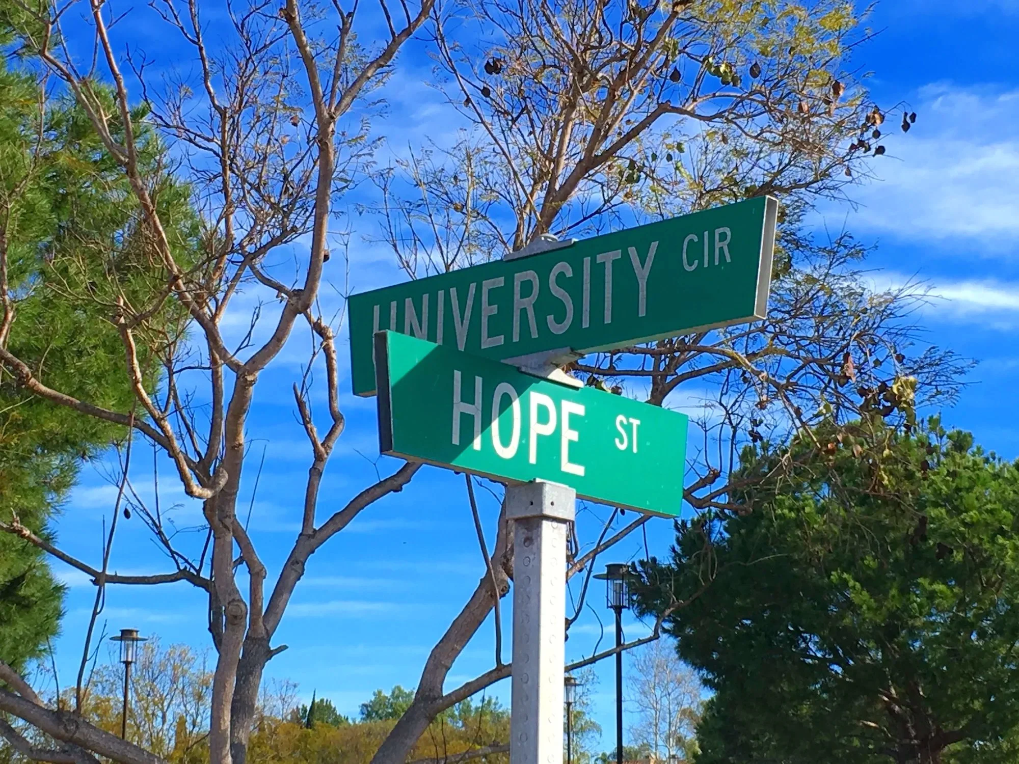soka-university-hope.jpg