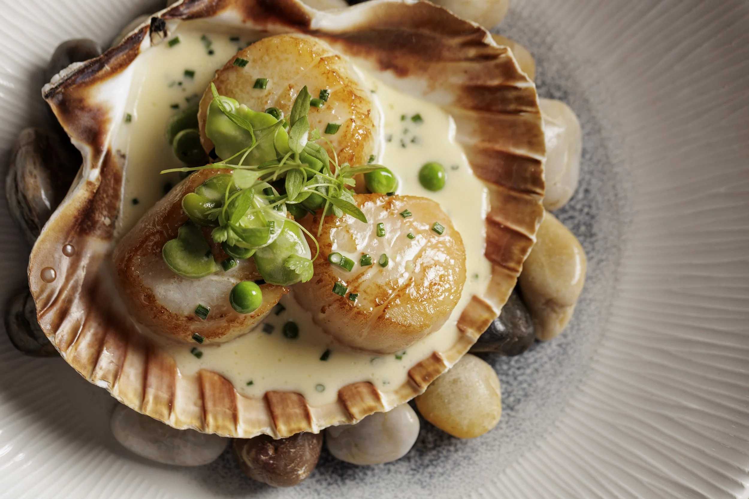 Scallops at Smith's