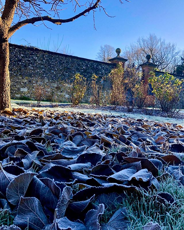 Frosty captures up at the House yesterday... Looking forward to my Photography Workshop today.  Wrap up guys as we shall be playing outside.... #frosty #morning #beautifulsouth #hampshire #hampshiregardens #uk #creative #photographylovers  #manorhous