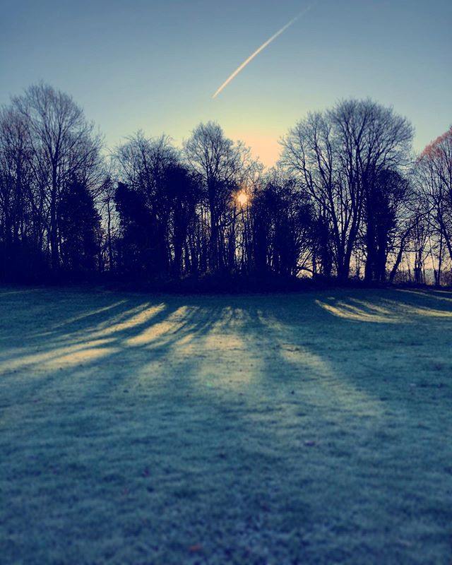 The sun plays magic this time of the year... #sunup  #frostydays #jackfrost #images #greetingcards #cards  #frozen #winterscene #hampshiregardens #hampshire #uk #beautifuldestinations #beautifulsouth #inhousephotographer #mystyle #creative #uk #canon