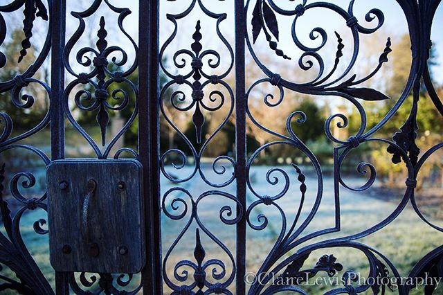 Happy Sunday everyone!  Frosty gates of the walled garden.... #frostymorning #coldblues #seeingthelight #warmyellow #light #photography #hampshire #walledgarden #gates #hampshiregardens #sunup #manorhouse #walledgarden #visituk #heritage #beautifulso