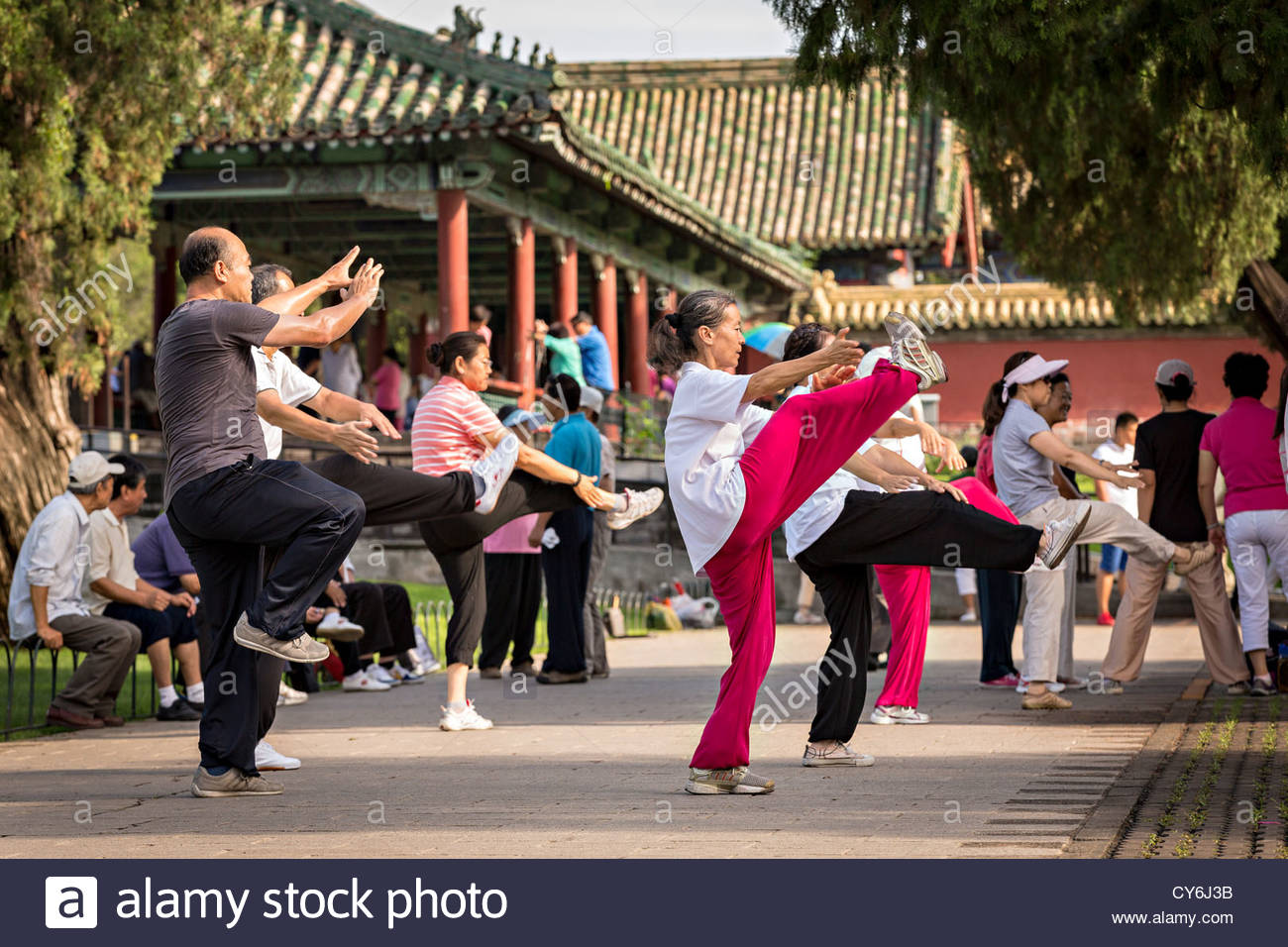 NEXT: MANDATORY TAI CHI CLASSES FOR EVERYONE