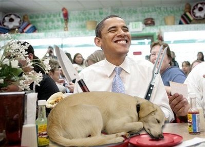 ANYONE SEEN BO LATELY?