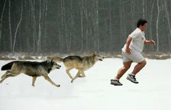 And being chased will help citizens maintain the chic, sleek bodies so admired by the rest of us