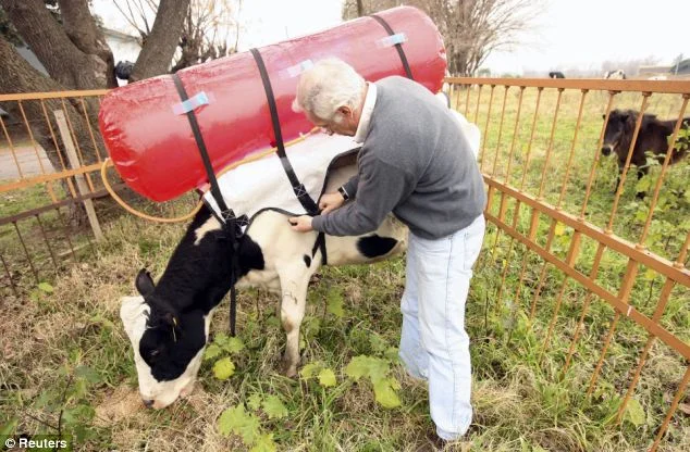 And then there's the methane recapture proposal in California (no shit — actual photo)