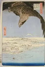 hawk.jpg