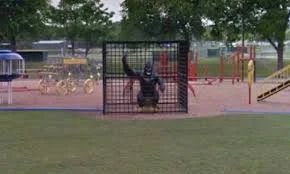 doby 2.jpg