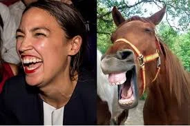 I may be stupid, but I have horse sense!