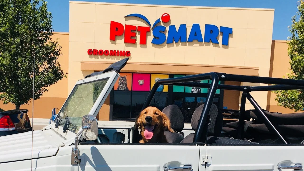 retriever.jpg