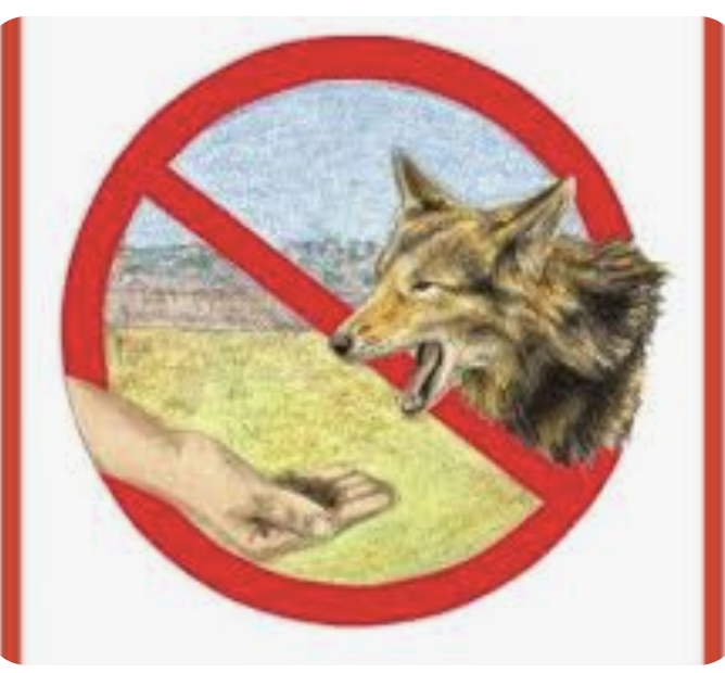 Screenshot 2026-03-10 at 4.32.32 AM.png