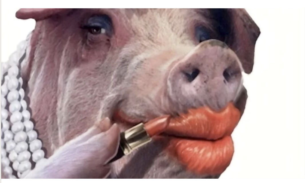 Screenshot 2026-04-07 at 3.16.57 AM.png