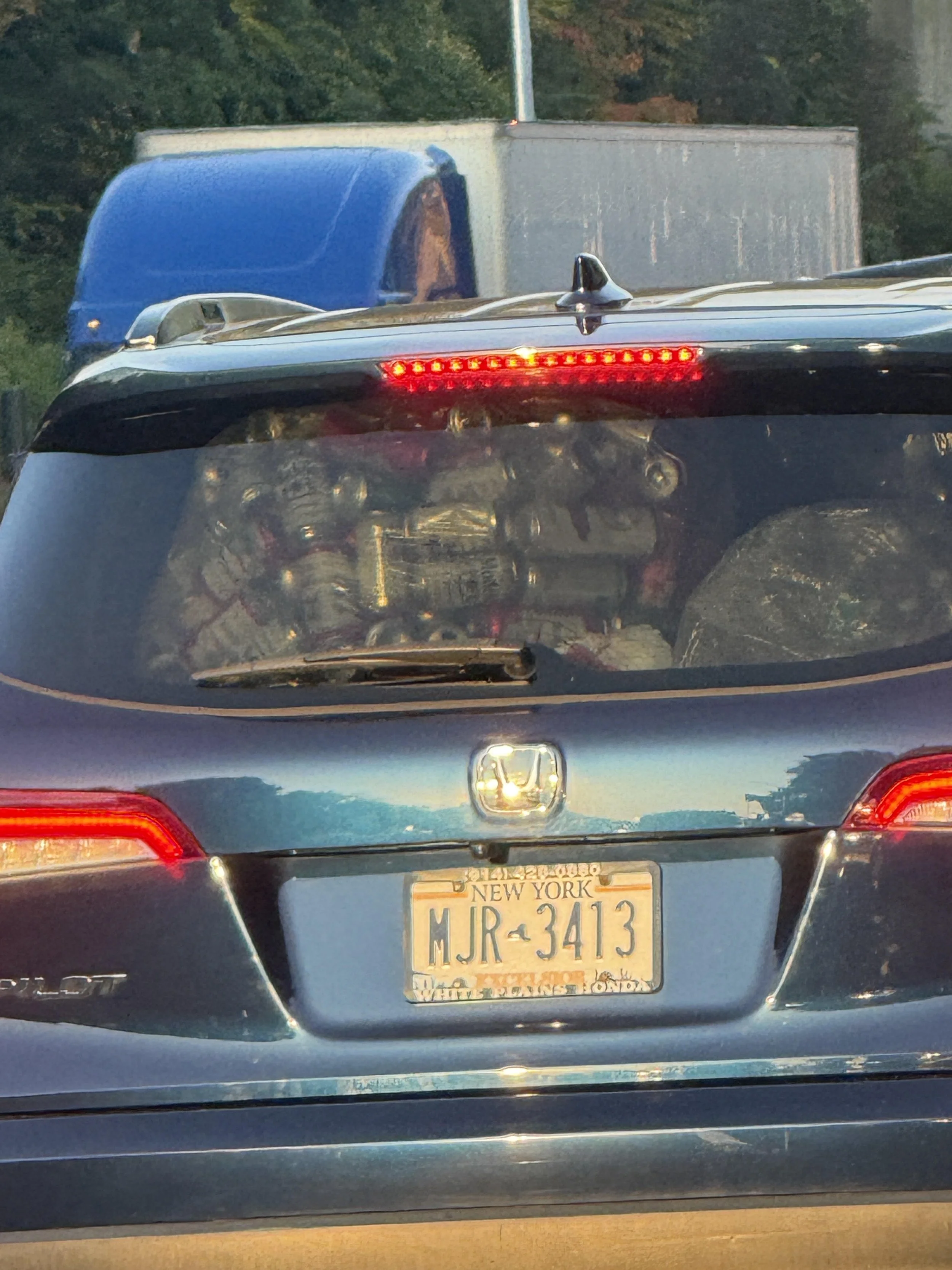 license plate.jpg
