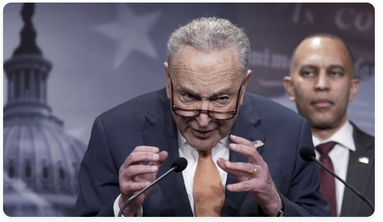 Schumer .png
