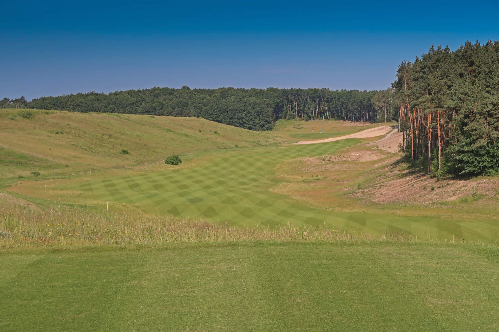 Hole 1 Links Valley.jpg