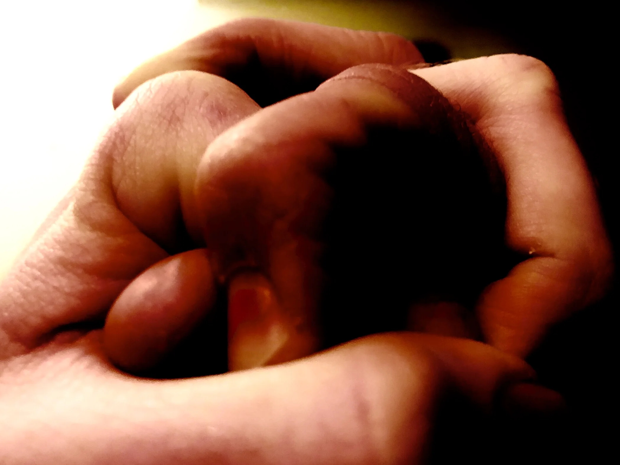 Paul Walker &amp; Gideon Payten-Griffiths