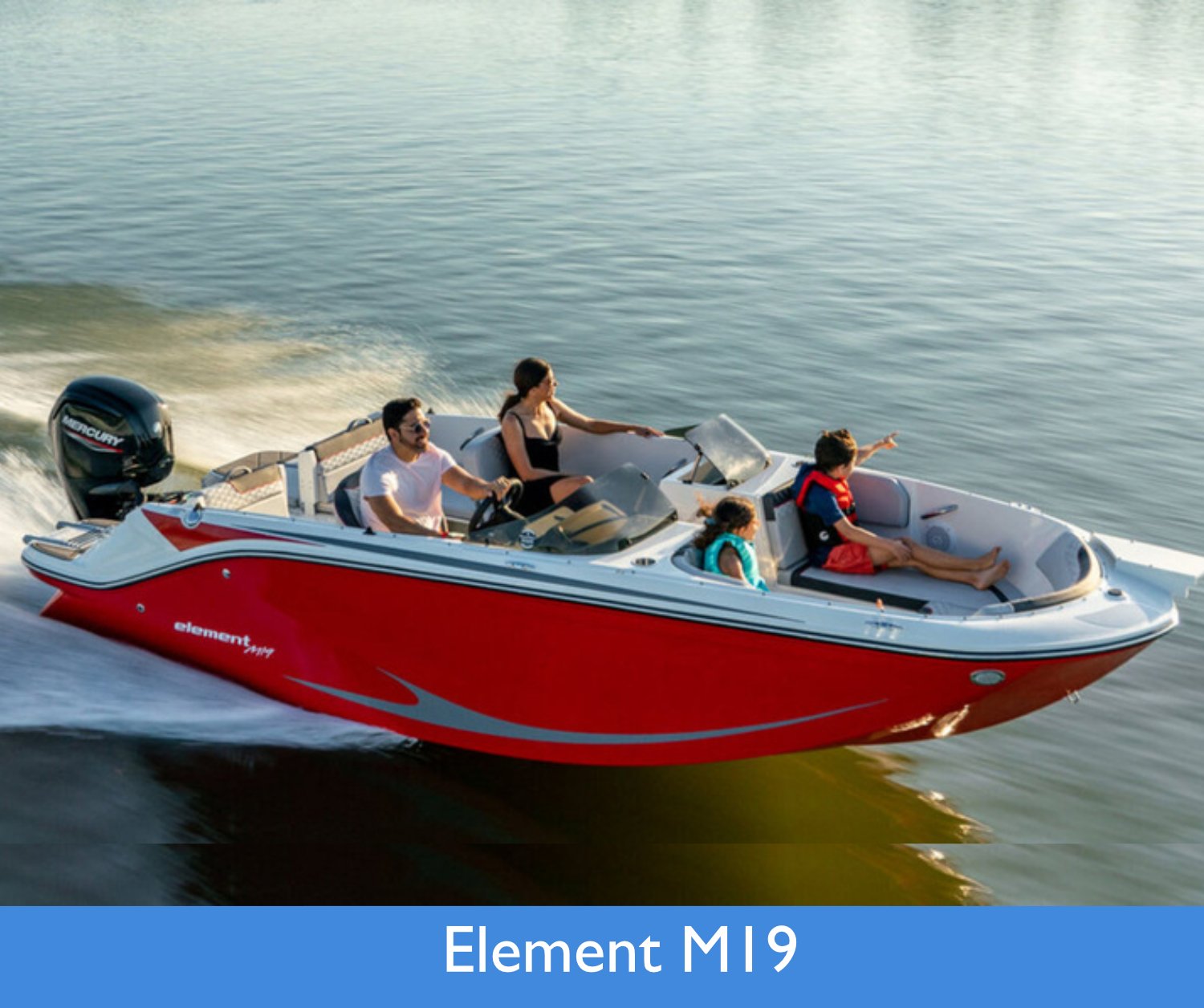 element m19.jpg