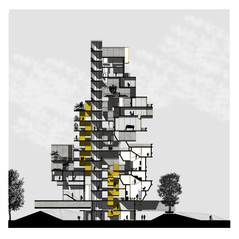 SECTION 01_ INSIDE THE ATRIUM.jpg
