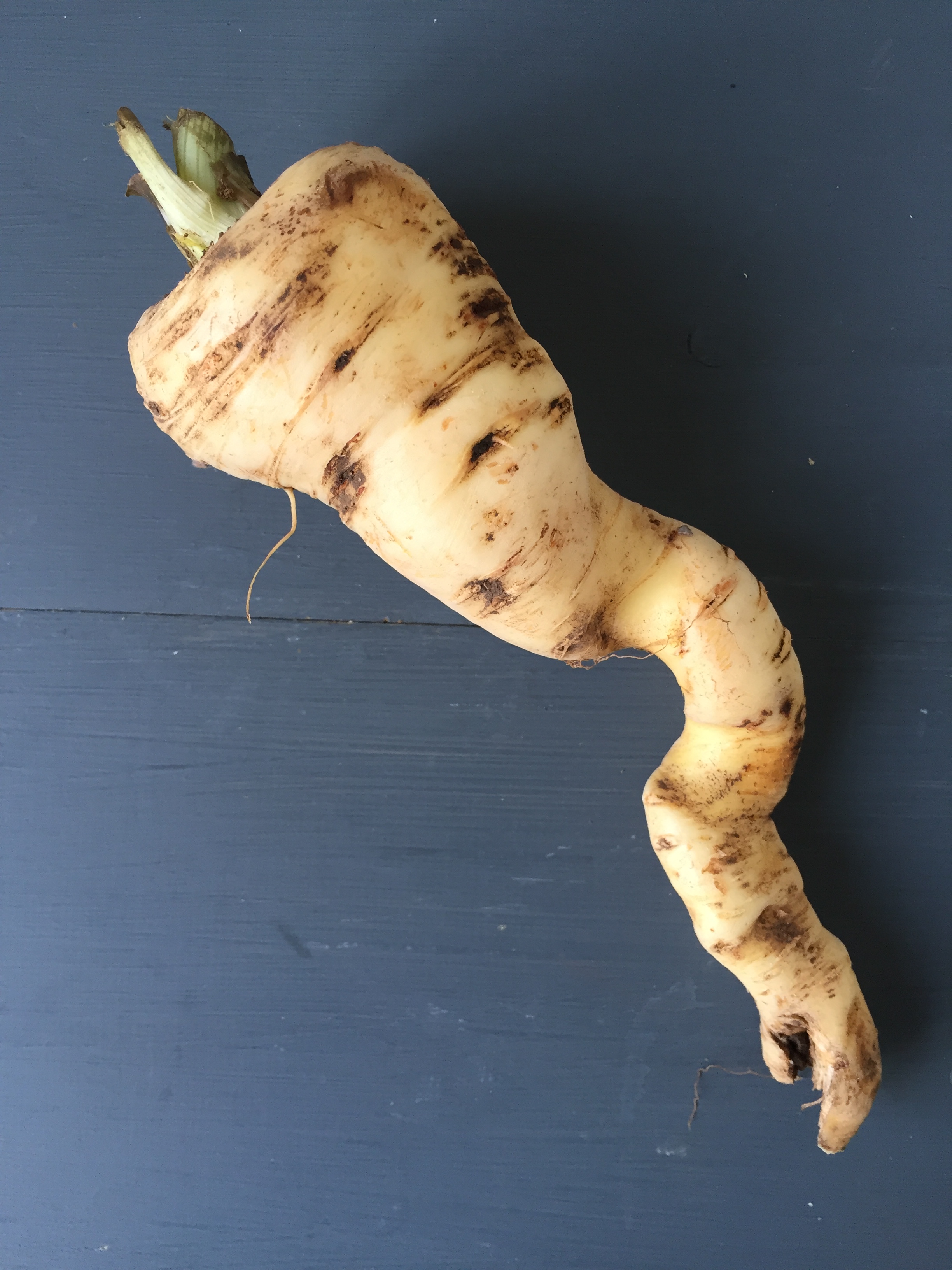 We celebrate wonky veg ! 