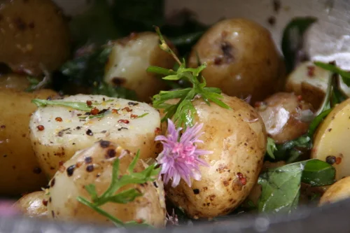 HERBY SALAD POTATOES