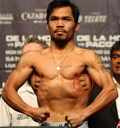 The Serratus Anterior plays an integral role in Shoulder health, and must be trained properly. Learn more about it at: http://palpate.com.au/serratus-anterior/