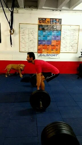 You CAN and SHOULD be Strong as a cyclist.... The Human Vortex Training Group Strength Training for Cyclists shows you how to develop maximum strength and to convert it to maximum power on the bike. One workout at a time. 