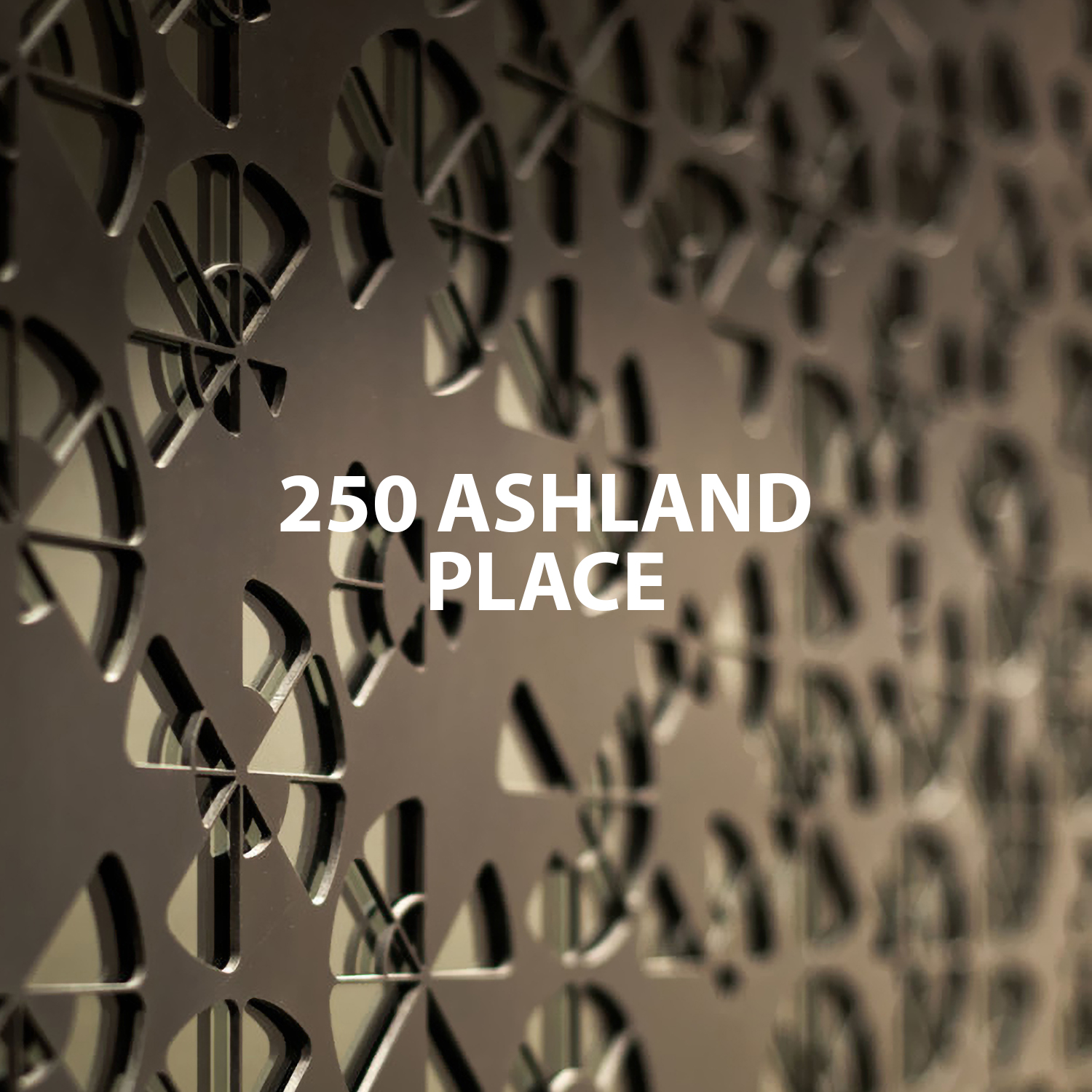 250ashland.jpg