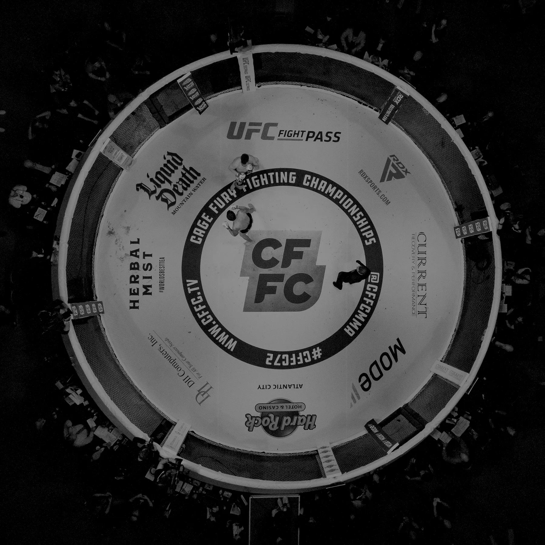 fight card.jpg