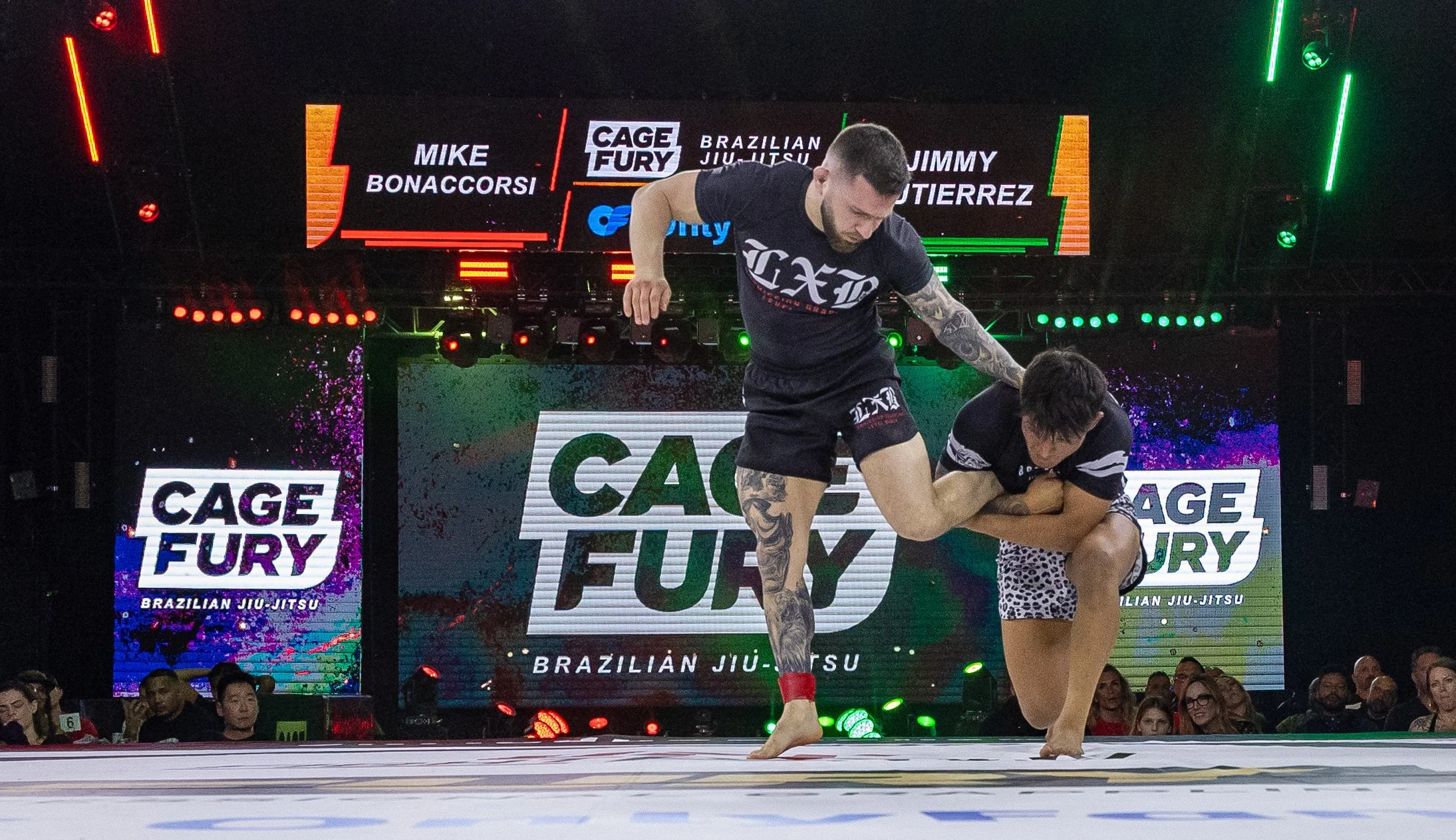 CFFC BJJ 17-73.jpg