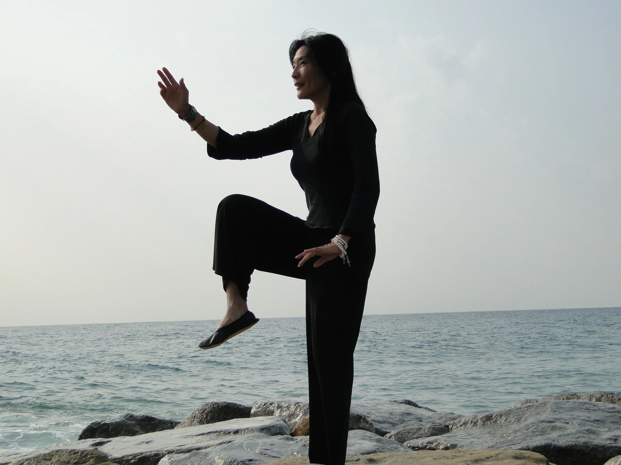 TaiChi2018_SLR.jpg