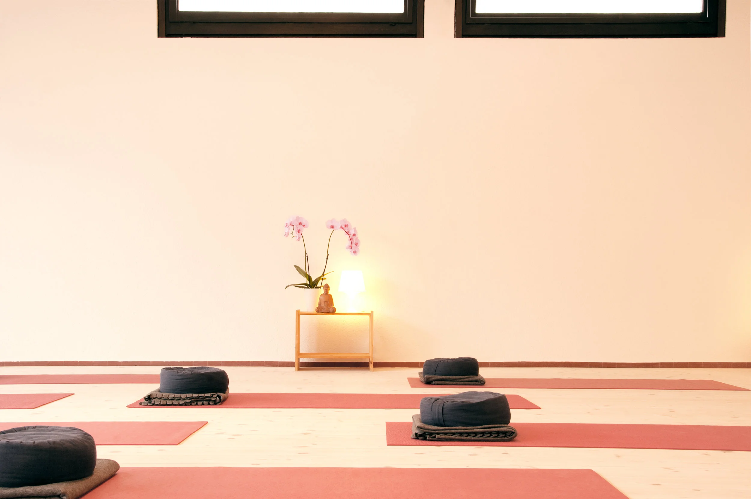 YOG_0043.jpg