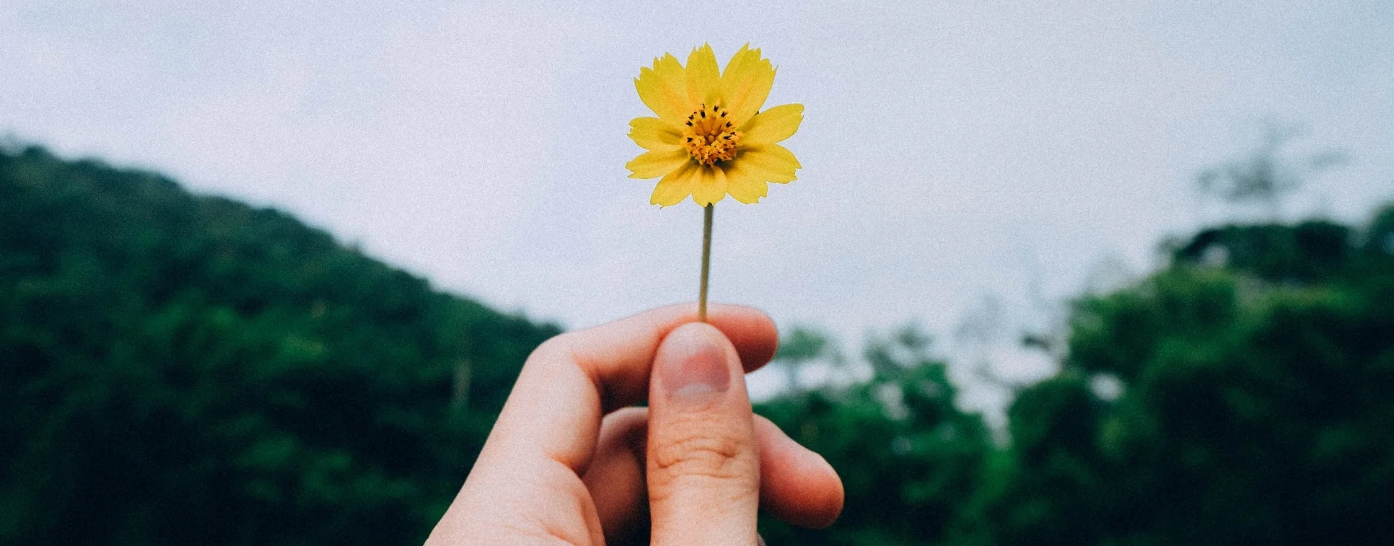 kawin-harasai-221616-unsplash.jpg
