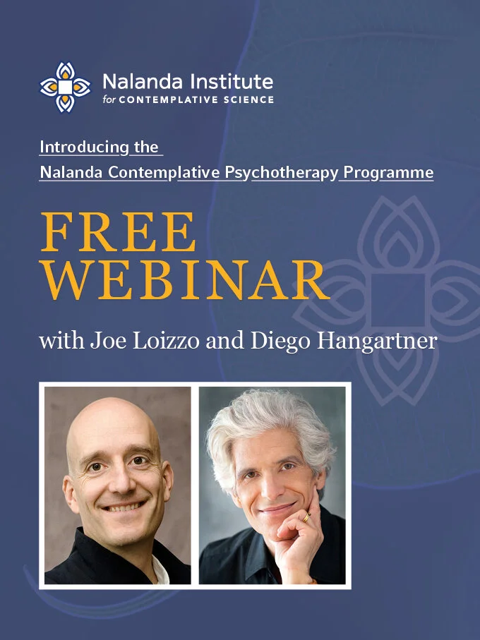 FREE WEBINAR mit Joe Loizzo und Diego Hangartner