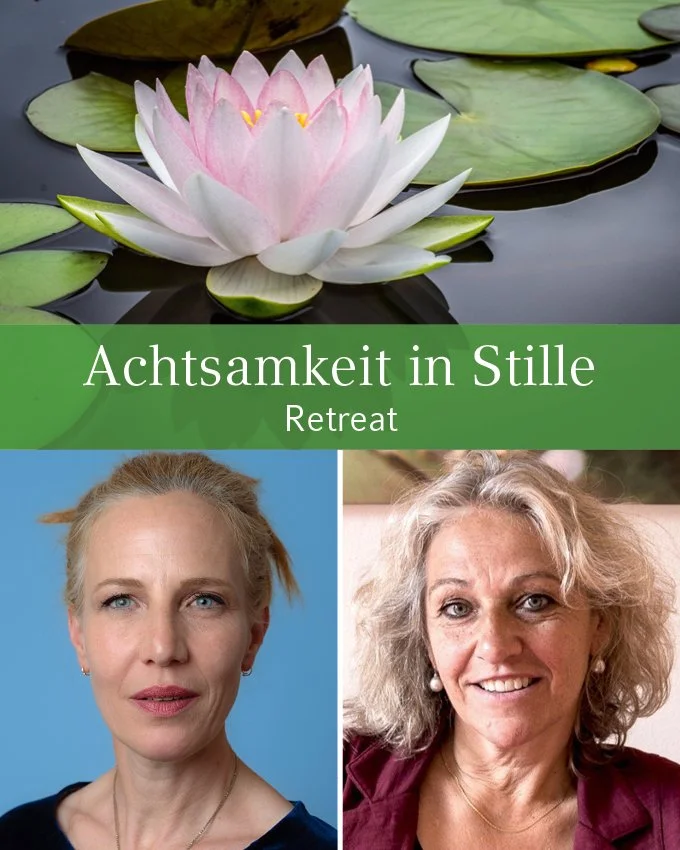 DEM LEBEN NICHTS ENTGEGENSETZEN – Achtsamkeitsretreat in Stille