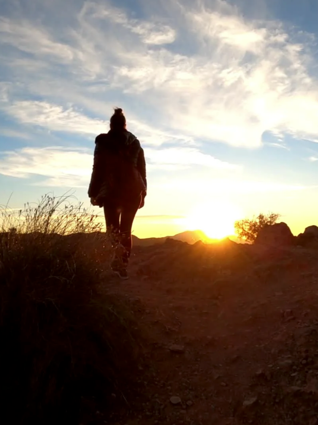 Bardo, Der Weg durch die Lücke