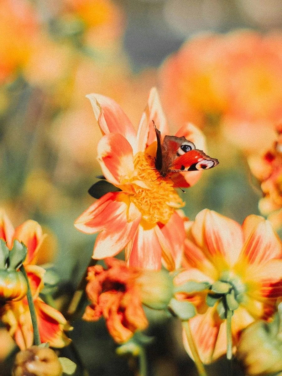 Marc Loewer mindful quer.jpeg