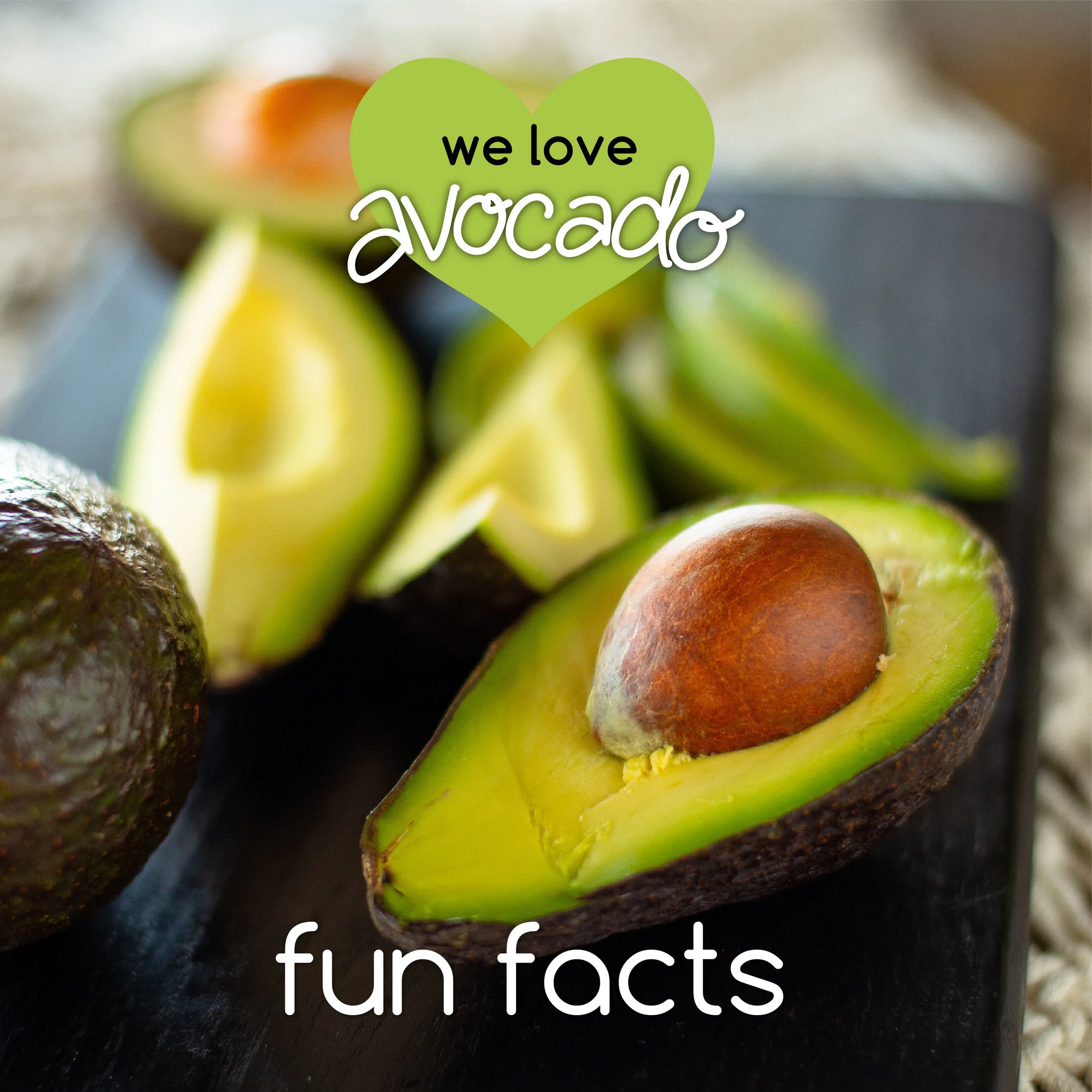 _fun facts_AVOCADO_02.jpg
