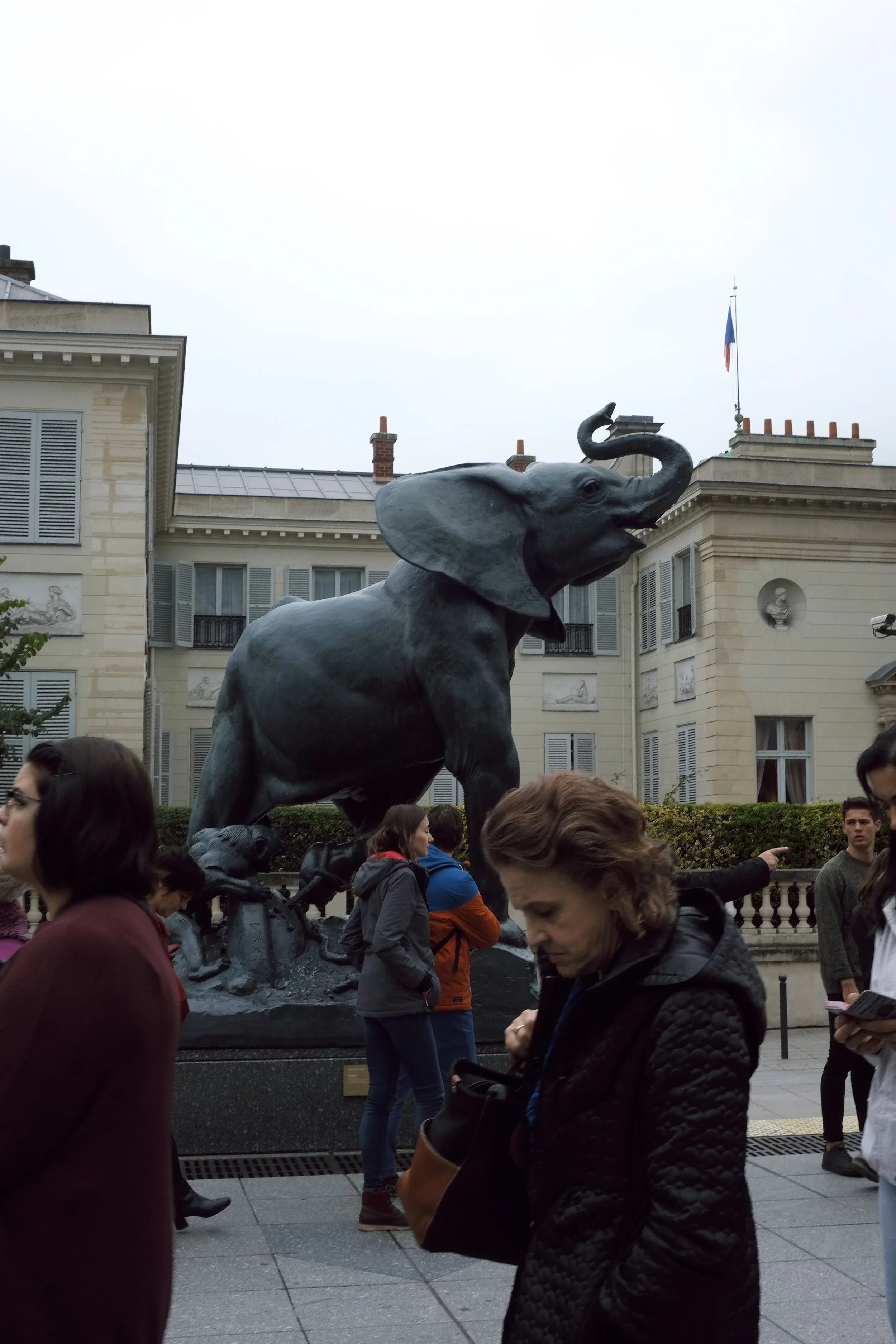 France027.jpg