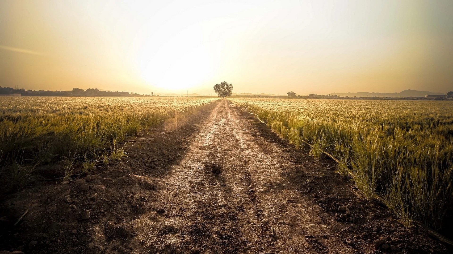 Country-Road-Desktop-Background.jpg