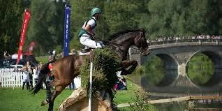 Horse Event.jpg