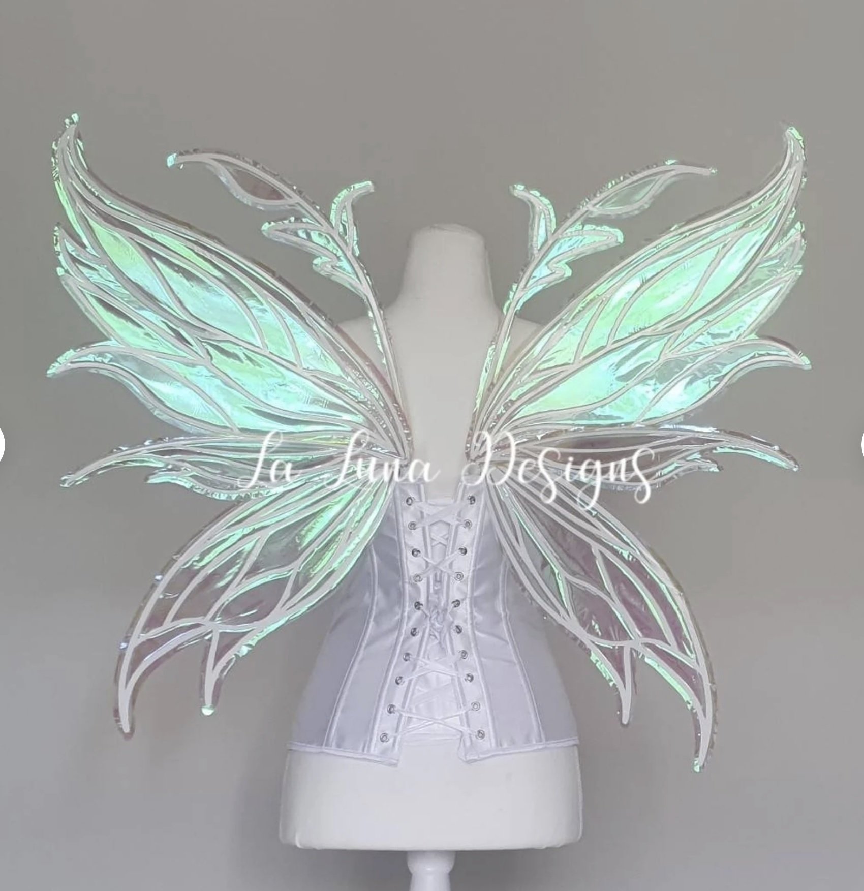 XL Iridescent Fairy Wings PENDING