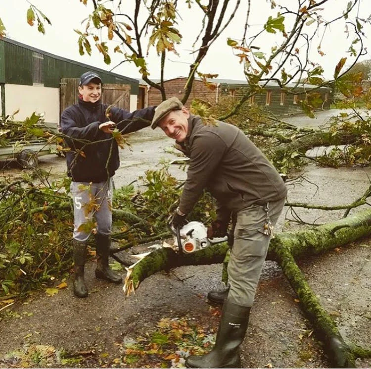 Storm Damage - Tips for Your Garden Recovery