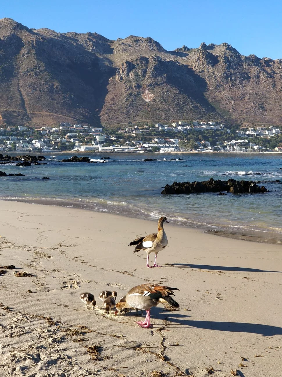 All imagery courtesy of Sarah Baker from her travels to SA :)