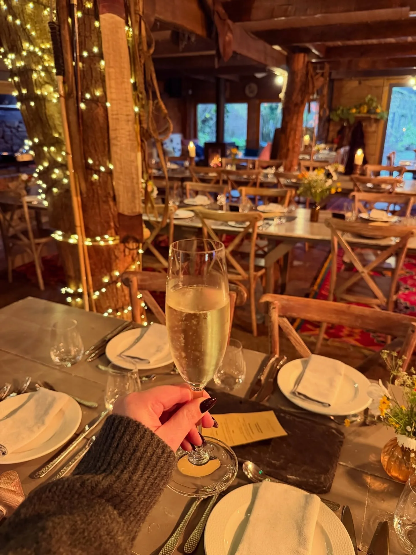 Save the date! Our next Argentinian BBQ Night is firing up on December 13th. Good food, good vibes, good people &mdash; don&rsquo;t miss it! 
For more information or to book your place visit our website. 

#cloughjordanhouse #bbq #dinnernights #asado