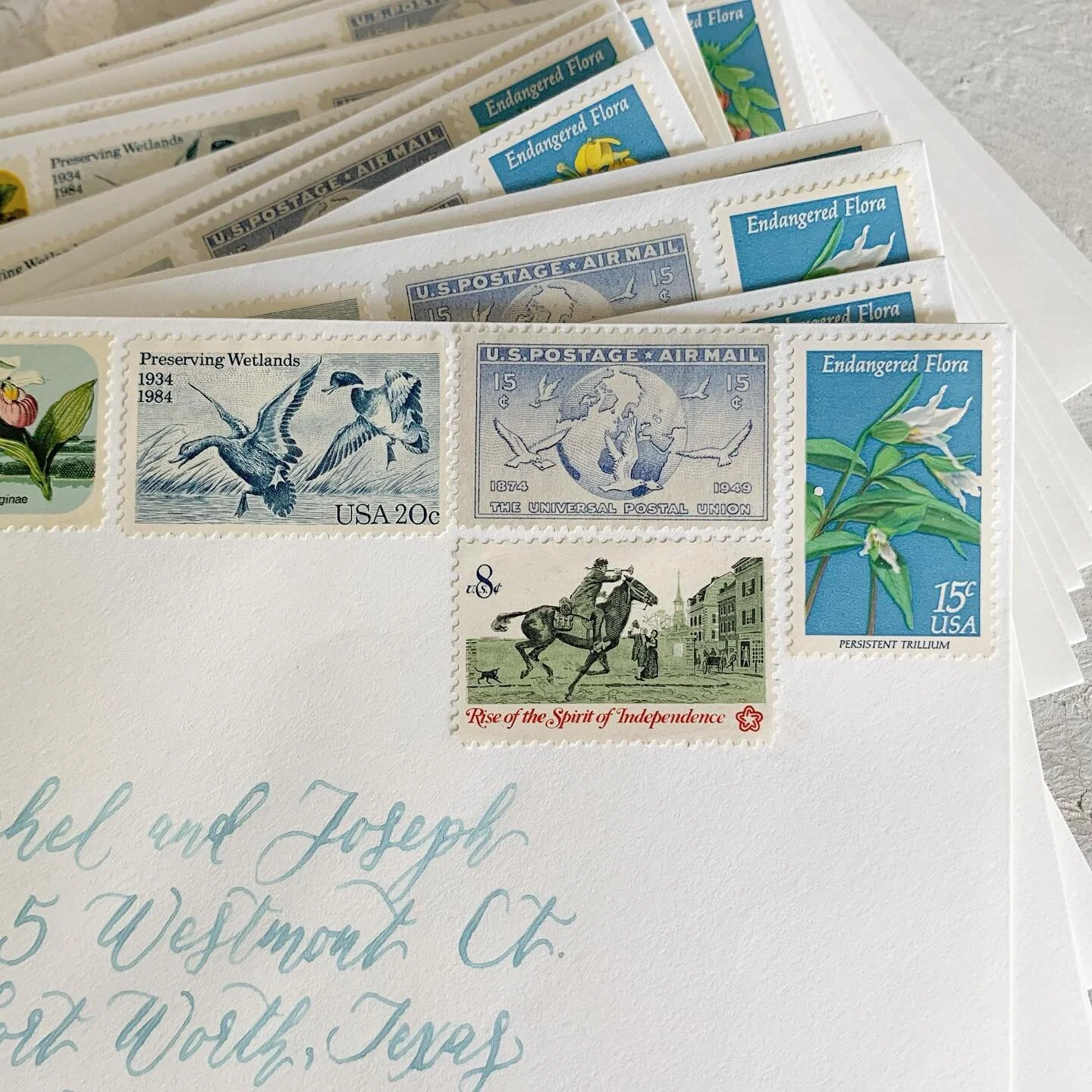 the perfect vintage postage and custom colored calligraphy for @gatherevents 
Personally, the mallard stamp is my fave 💌 what about you?!
#vintagepostage #vintagestamp #vintagestamps #weddingcalligraphy #weddingcalligrapher #ohsobeautifulpaper #wedd