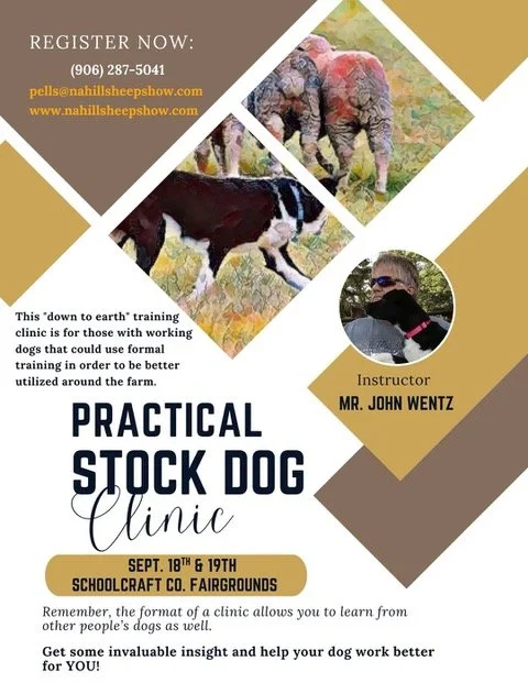 Practical Stock Dog Clinic