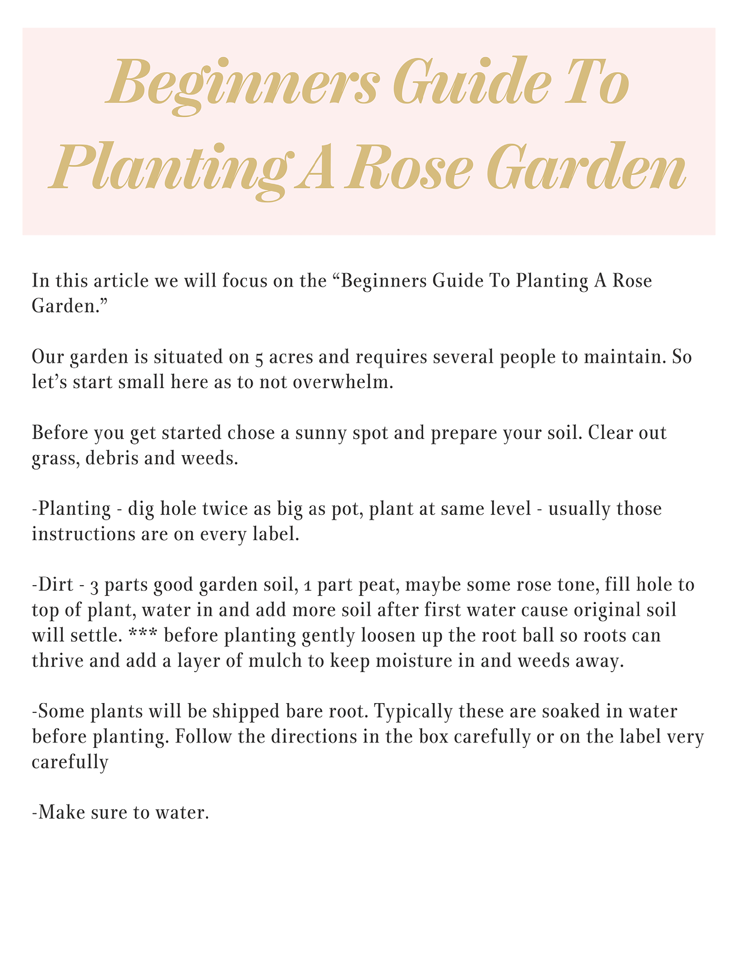 Beginners Guide To Planting A Rose Garden