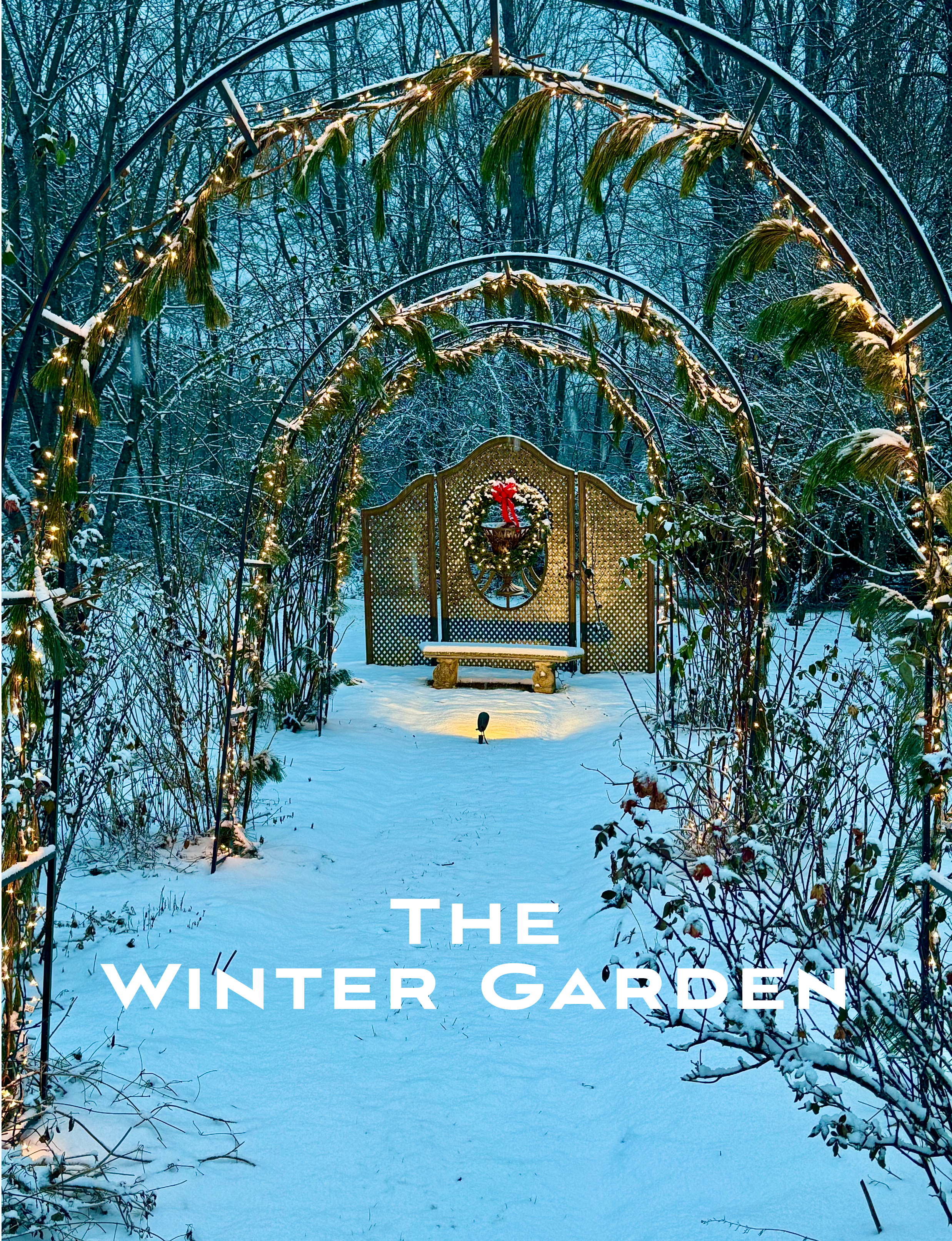 The Winter Garden