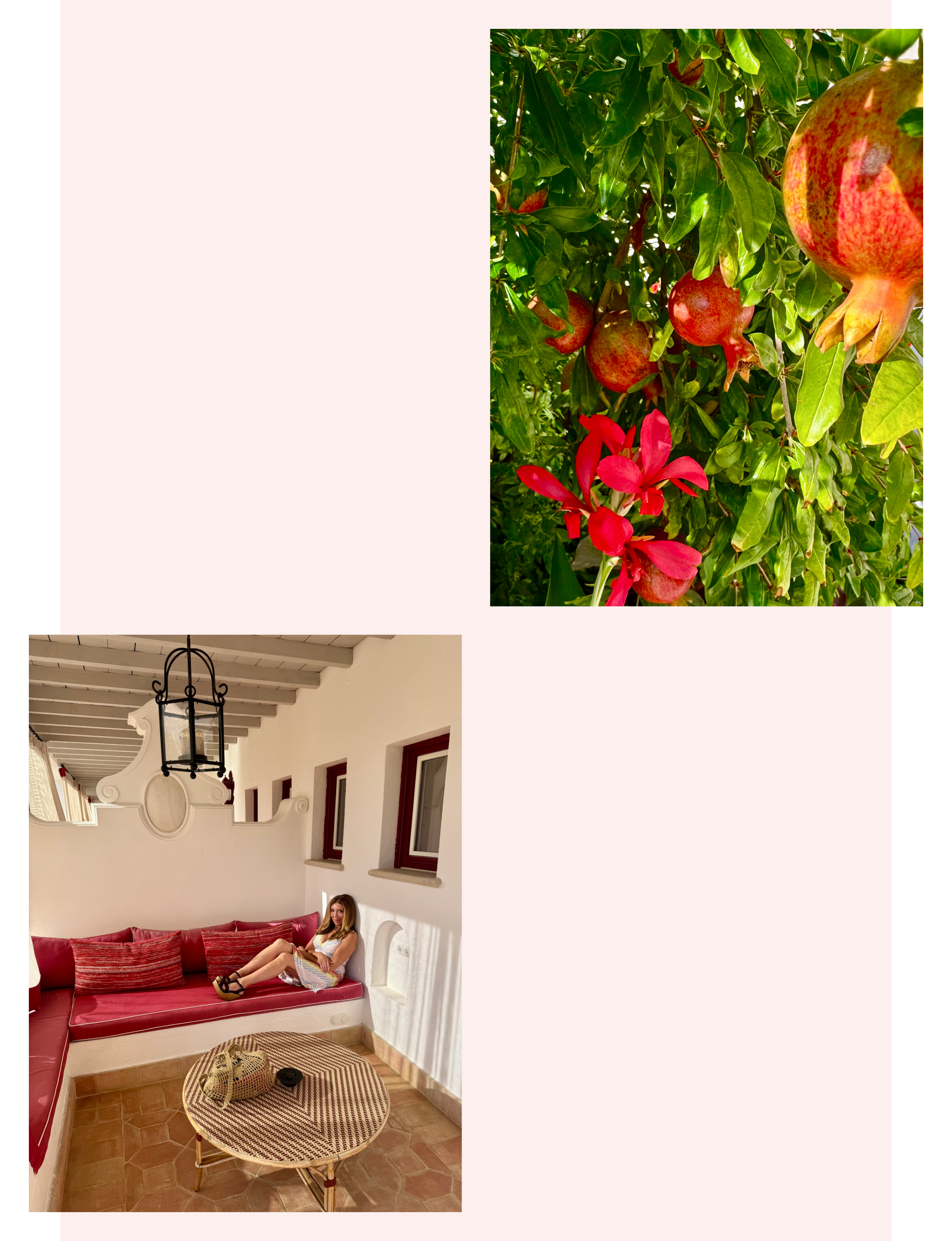 Hotel Vermelho in Melides Portugal gardens