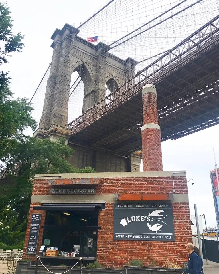 A Trip To Dumbo